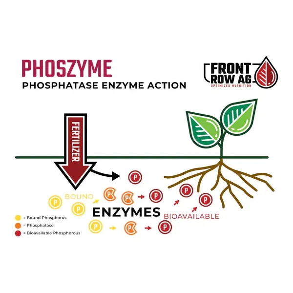 Front Row Ag Phoszyme - Image 3