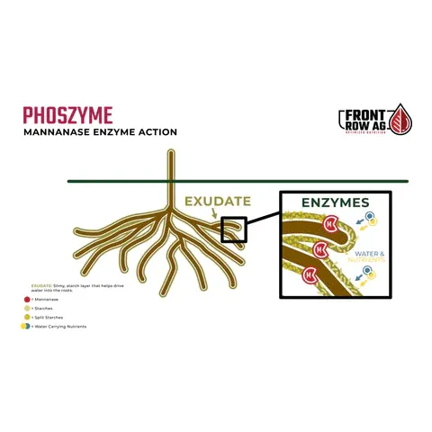 Front Row Ag Phoszyme - Image 4