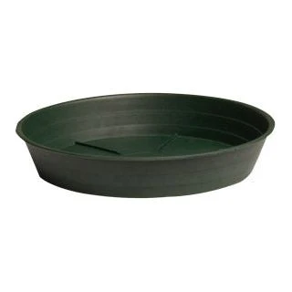Green Premium Saucers - Image 5