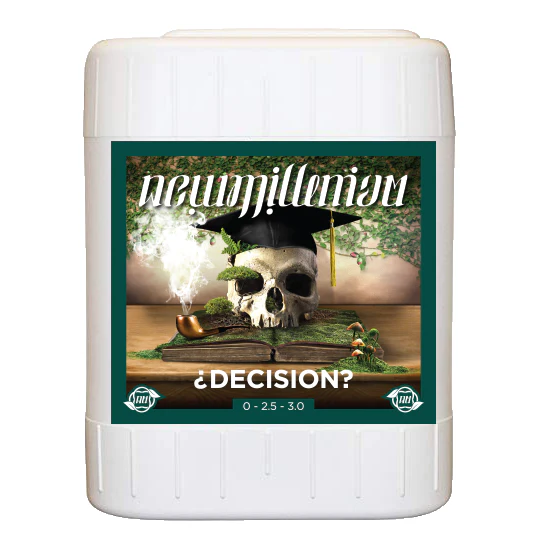New Millenium Decision - Image 8