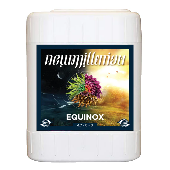 New Millenium Equinox - Image 4