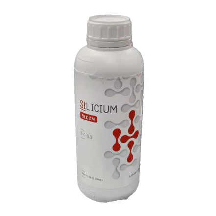 Silicium Bloom - Image 3