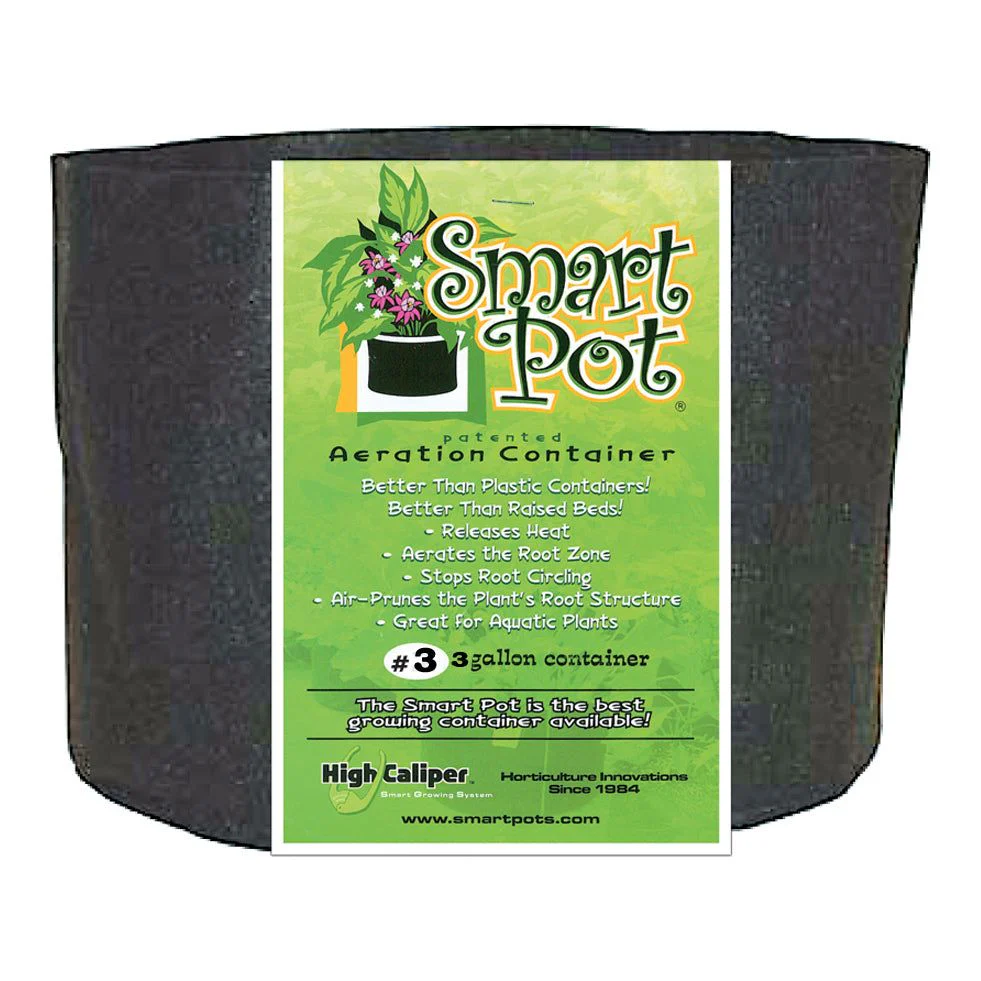 Smart Pot - Black - Image 3